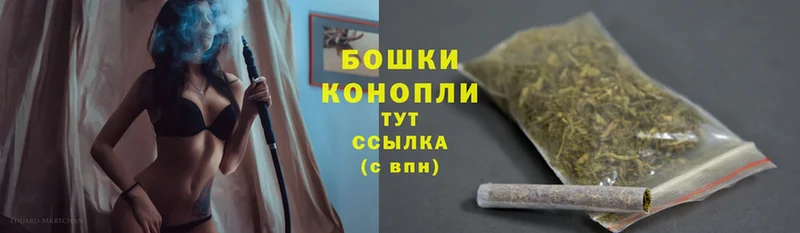 Каннабис White Widow  где найти   Саки 